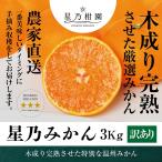 [ скидка за ранний заказ 10%SALE] звезда . мандарин [ дерево ..../ мандарин уншиу / есть перевод / размер смешивание ] 3kg
