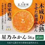 [ скидка за ранний заказ 10%SALE] звезда . мандарин [ дерево ..../ мандарин уншиу / есть перевод / размер смешивание ] 5kg