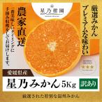 【早割10%SALE】星乃みかん【木成り完熟/愛媛県産/訳あり】 5kg