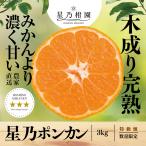 [ скидка за ранний заказ 10%SALE] звезда .pon can [ дерево .... мандарин /... толщина ] 3kg