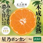 [ скидка за ранний заказ 10%SALE] звезда . мандарин [ дерево ....pon can / есть перевод ] 3kg