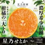 【早割10%SALE】星乃せとか【木成り完熟みかん/サイズ混合】 5kg