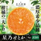 [ скидка за ранний заказ 10%SALE] звезда .. или [ дерево .... мандарин / размер смешивание / есть перевод ] 3kg