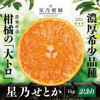【早割10%SALE】星乃せとか【木成り完熟みかん/サイズ混合/訳あり】 4kg