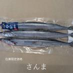  нагревание для рефрижератор san .3 хвост осень меч рыба сайра удобный 1 хвост на 108 иен!