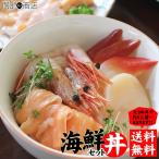 Yahoo! Yahoo!ショッピング(ヤフー ショッピング)お歳暮 ギフト 人気 海鮮丼セット 送料無料