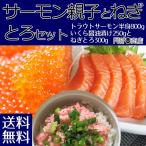 送料無料 サーモン親子とねぎとろセット  サーモン半身 800g前後/いくら醤油漬け250g/ネギトロ300g 父の日 ギフト