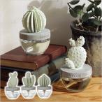 CACTUS FRAGRANCE DIFFUSER カクタス フレグランス ディフューザー DULTON ダルトン 香り 芳香剤 サボテン