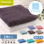 バスタオル 1秒タオル 2枚セット ホットマンカラー 65×137cm 日本製 無地 セット タオル 吸水タオル ベビー 公式ホットマン Hotman