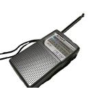 SONY FM/AM портативный портативный радио ICF-P21