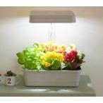  гора .(YAMAZEN) LED посадочная машина . часть магазин поле огород ( салон культивирование ) комплект YLP-28