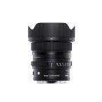  Sigma (Sigma) линзы 24mm F2 DG DN Sony Sony E крепление одиночный подпалина пункт широкоугольный полный размер беззеркальный для Contemporar
