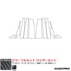 マジカルアートシート ピラーフルセット バイザーカット デリカD:5　CV1W（2019.2〜）後期ディーゼル ハセプロ
