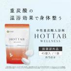 ポイント5倍 正規品 薬用 元祖 重炭酸 入浴剤 ホットタブ HOTTAB ウェルネス 45錠 神経痛 リウマチ 疲労回復 冷え症 血行促進 日本製 無香料