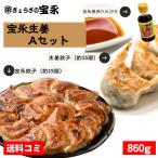 【送料無料】宝永生姜Aセット(専用たれ付き)総重量860g ぎょうざの宝永(製造元から発送)
