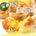 ショッピングぎょうざ 宝永チーズ餃子15個入 北海道 ぎょうざの宝永 製造元 口コミで話題