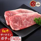 A5等級 黒毛和牛 サー�