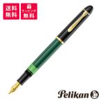 特別生産モデル PELIKAN ペリカン Green Black グリーンブラック M120 万年筆 復刻 モデル