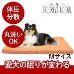 ペットケアマットNEO　Mサイズ 一般用　爽快潔リビング