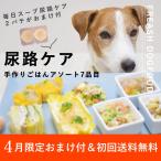 【4月限定】【初回限定送料無料】�