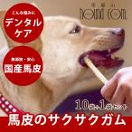 愛犬用ガム 柔らかめ 犬用ガム デンタルおやつ 小型犬 中型犬 馬皮サクサクデンタルガム 10袋+1袋セット
