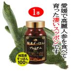 国産すっぽん 1ヶ月分 サプリ サプ�