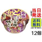 日清食品 最強どん兵衛 鴨だしそば 