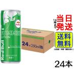 レッドブル エナジードリンク サマーエディション 250ml × 24本