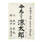 命名書　命名紙　毛筆手書き　あさがお柄　代書無料　朝顔　A4サイズ　出産祝い　ベビーギフト