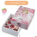 ショッピング桃 ヤマニパッケージ　桃だより3kg(40入)　L-2339