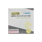 アウトレット品 特価 エポキシライニングレジンDX 300g セット / 日本特殊塗料 訳あり 在庫限り
