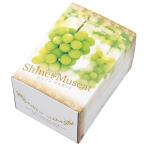 ショッピングシャインマスカット オリカ ぶどう箱 シャインマスカット 1kg 220×160×135mm 1ケース50セット入り