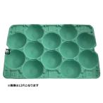 モウルドトレイ 033092 梨 5K用 12H 緑 460×305mm 1ケース50枚入 日本モウルド工業 フルーツ用トレー なしトレー 爆買