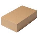 日本酒・焼酎・ワイン用 ボトルギフト2本入 クラフト 1セット40枚入 197×333×92mm  0009-019-00 和気