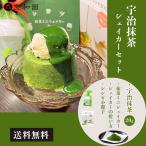 ~ подлинный товар ~. иметь машина .. зеленый чай шейкер комплект зеленый чай рецепт BOOK имеется японский чай подарок модный 