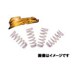 ズーム ダウンフォースHGサス 1台分 