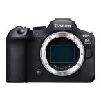 CANON キヤノン EOS R6 Mark