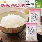 【精米時期訳アリ】令和6年産 白米 10kg(5kg×2) 愛知県産 あいちのかおり 大粒米 送料無料