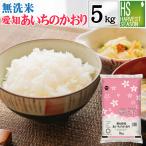 無洗米 5kg 愛知県産 あいちのかおり 大粒米 令和5年産 送料無料