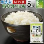 精米時期訳あり 令和6年産 無洗米 5kg 岐阜県産 はつしも 幻の米 大粒 送料無料 数量限定販売