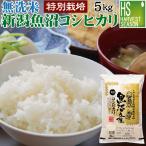 令和6年産 無洗米 5kg 新潟県 魚沼産 コシヒカリ 送料無料 特別栽培米 特A