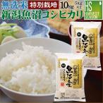 [精米時期訳アリ] 令和6年産 無洗米 5kg×2 新潟県 魚沼産 コシヒカリ 10kg 送料無料 特別栽培米 特A（SL）