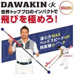 ダワ筋スティック プロ リンクス ゴ