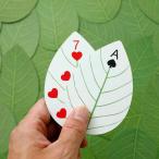 トランプ Kikkerland キッカーランド Huckleberry Leaf Cards ハックルベリーリーフカード カードゲーム アウトドア キャンプ 遊び ゲーム