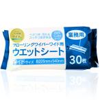  напольное покрытие сиденье влажный [ широкий версия * для бизнеса ] напольное покрытие уборка мокрый сиденье пол .. сиденье . похоже . сиденье EaseLiving (1 упаковка )