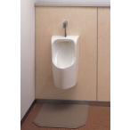 TOTO настенный маленький форма писсуар комплект UFH557+TG600PN(TEA62ADS)+T9RA