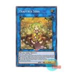 遊戯王 英語版 BLHR-EN049 Traptrix Sera セラの蟲惑魔 (シークレットレア) 1st Edition