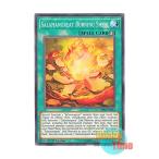 遊戯王 英語版 CHIM-EN051 Salamangreat Burning Shell 転生炎獣の炎虞 (ノーマル) 1st Edition