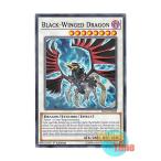 Yahoo! Yahoo!ショッピング(ヤフー ショッピング)遊戯王 英語版 LED3-EN028 Black-Winged Dragon ブラックフェザー・ドラゴン （ノーマル） 1st Edition