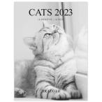 ドレジャー 2023年 スモールカレンダー CATS BLACK &amp; WHITE（壁掛け） 猫 モノクロ 日本語の祝日シール付き FSC認証